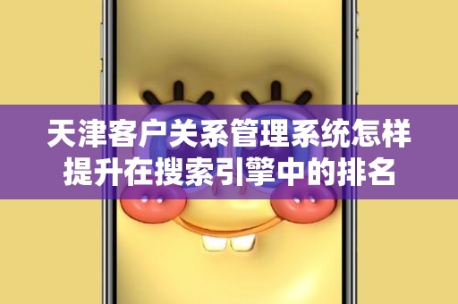 天津客户关系管理系统怎样提升在搜索引擎中的排名