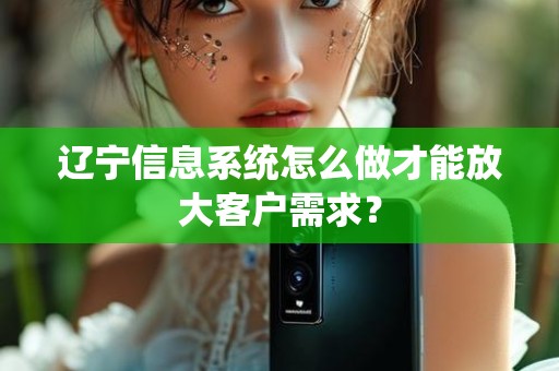 辽宁信息系统怎么做才能放大客户需求？