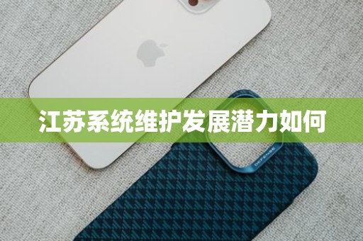 江苏系统维护发展潜力如何