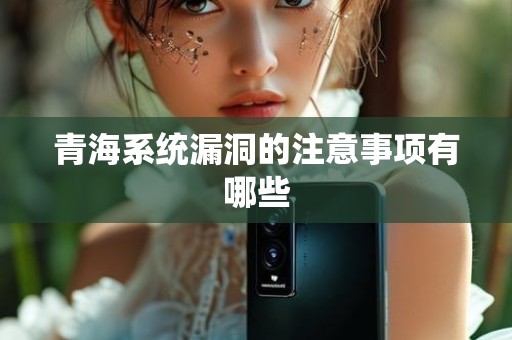 青海系统漏洞的注意事项有哪些