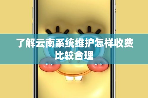 了解云南系统维护怎样收费比较合理