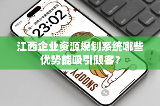 江西企业资源规划系统哪些优势能吸引顾客？