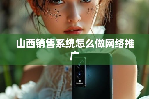 山西销售系统怎么做网络推广