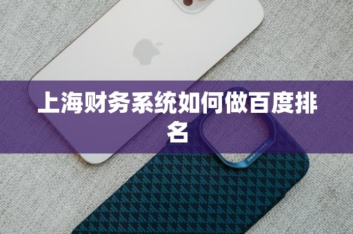 上海财务系统如何做百度排名