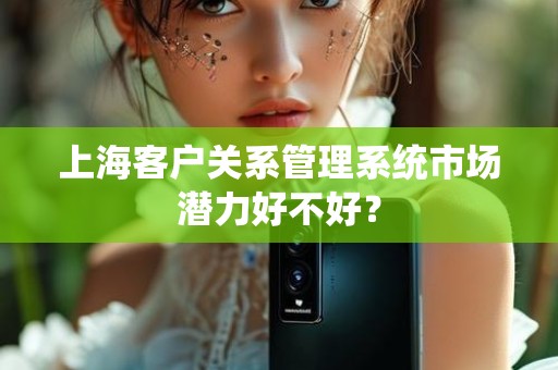 上海客户关系管理系统市场潜力好不好？