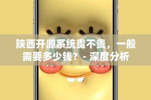 陕西开源系统贵不贵，一般需要多少钱？- 深度分析