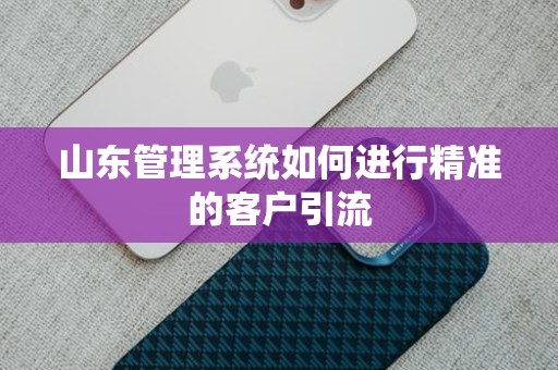 山东管理系统如何进行精准的客户引流