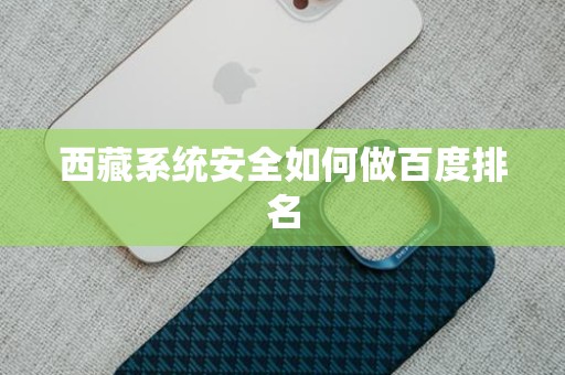 西藏系统安全如何做百度排名