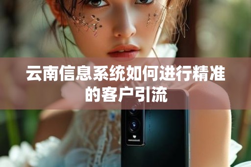 云南信息系统如何进行精准的客户引流
