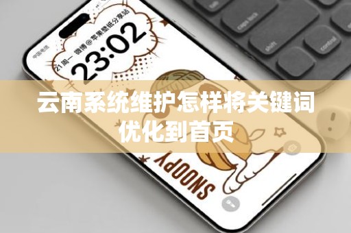 云南系统维护怎样将关键词优化到首页
