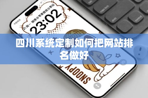 四川系统定制如何把网站排名做好