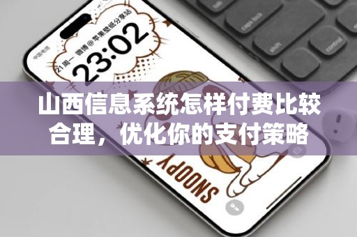 山西信息系统怎样付费比较合理，优化你的支付策略