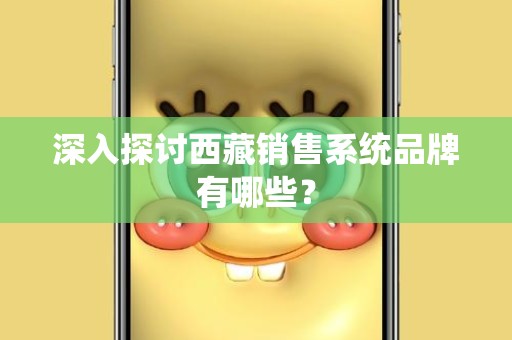 深入探讨西藏销售系统品牌有哪些？