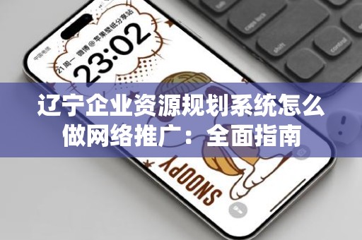 辽宁企业资源规划系统怎么做网络推广：全面指南
