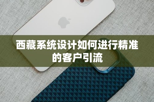 西藏系统设计如何进行精准的客户引流