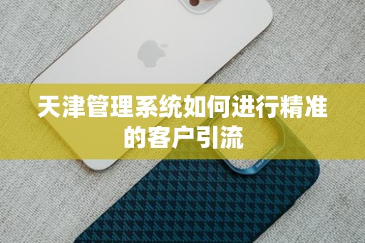 天津管理系统如何进行精准的客户引流
