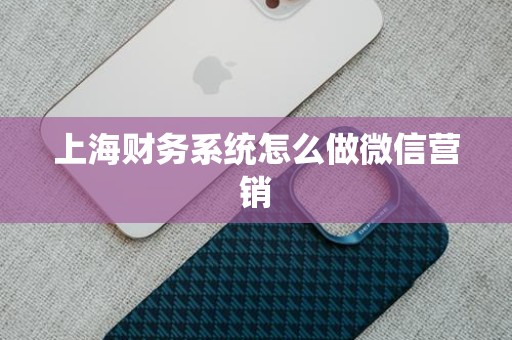 上海财务系统怎么做微信营销