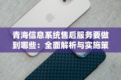 青海信息系统售后服务要做到哪些：全面解析与实施策略