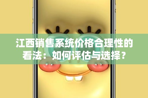 江西销售系统价格合理性的看法：如何评估与选择？
