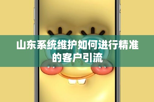 山东系统维护如何进行精准的客户引流