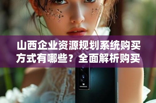 山西企业资源规划系统购买方式有哪些？全面解析购买渠道与选择建议