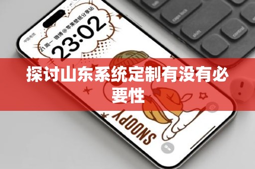 探讨山东系统定制有没有必要性