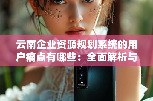 云南企业资源规划系统的用户痛点有哪些：全面解析与解决方案