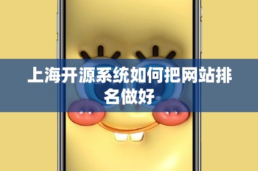 上海开源系统如何把网站排名做好