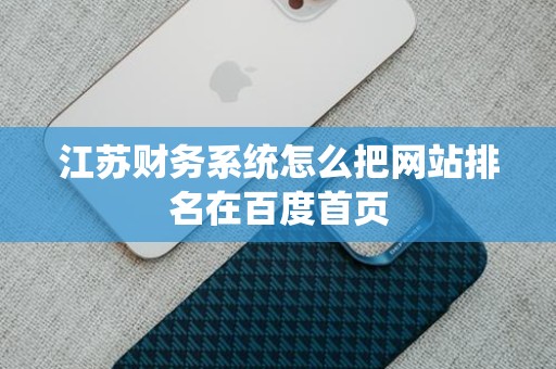 江苏财务系统怎么把网站排名在百度首页