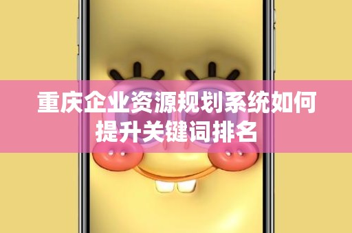重庆企业资源规划系统如何提升关键词排名