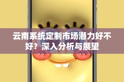 云南系统定制市场潜力好不好？深入分析与展望