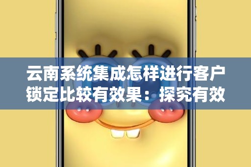 云南系统集成怎样进行客户锁定比较有效果：探究有效客户锁定策略