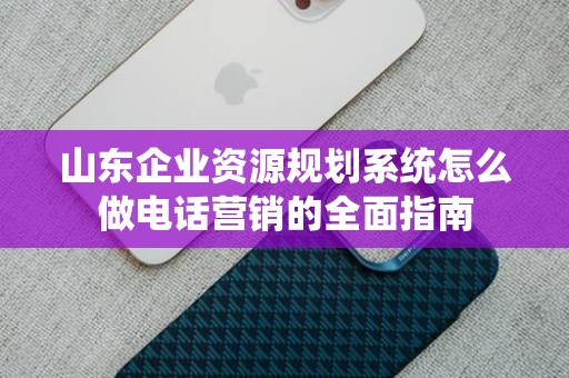 山东企业资源规划系统怎么做电话营销的全面指南