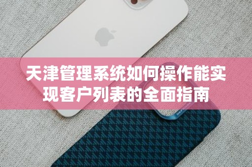 天津管理系统如何操作能实现客户列表的全面指南