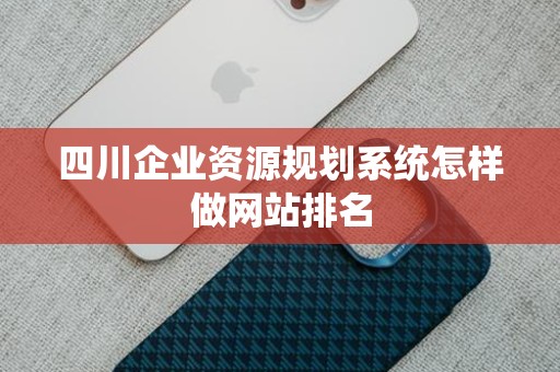 四川企业资源规划系统怎样做网站排名