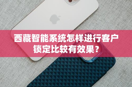 西藏智能系统怎样进行客户锁定比较有效果？