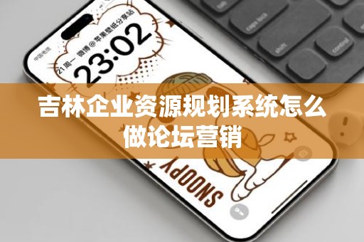 吉林企业资源规划系统怎么做论坛营销