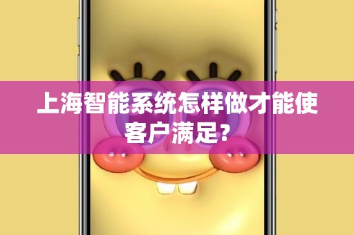 上海智能系统怎样做才能使客户满足？