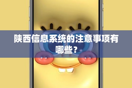 陕西信息系统的注意事项有哪些？