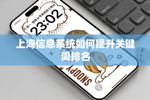 上海信息系统如何提升关键词排名
