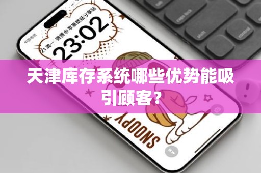 天津库存系统哪些优势能吸引顾客？