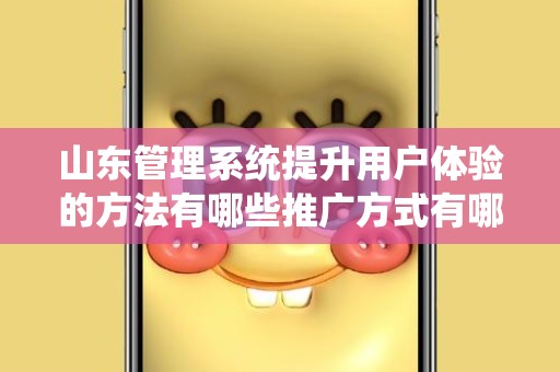山东管理系统提升用户体验的方法有哪些推广方式有哪些