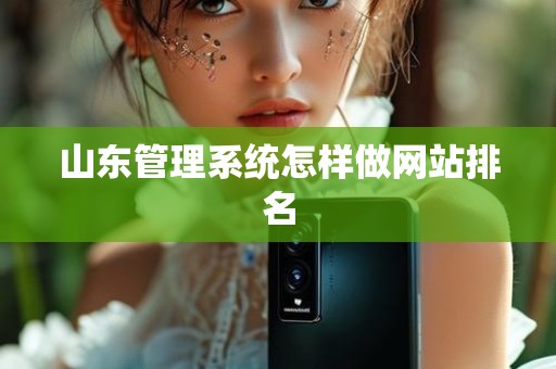 山东管理系统怎样做网站排名