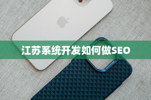 江苏系统开发如何做SEO