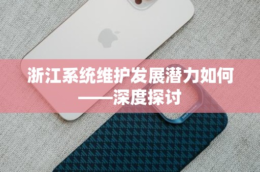 浙江系统维护发展潜力如何——深度探讨
