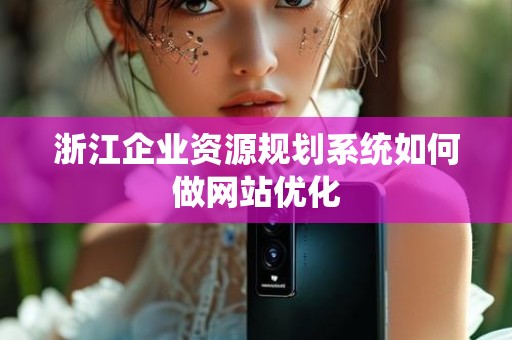浙江企业资源规划系统如何做网站优化