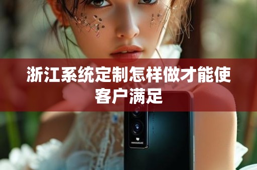 浙江系统定制怎样做才能使客户满足