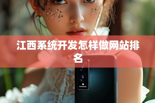 江西系统开发怎样做网站排名