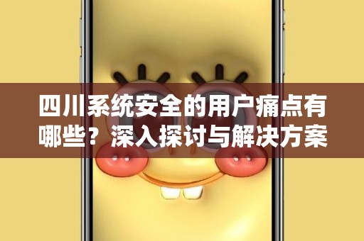 四川系统安全的用户痛点有哪些？深入探讨与解决方案