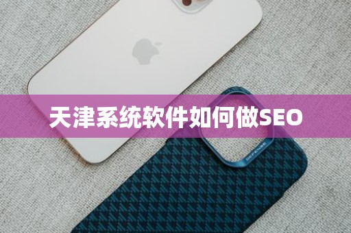 天津系统软件如何做SEO